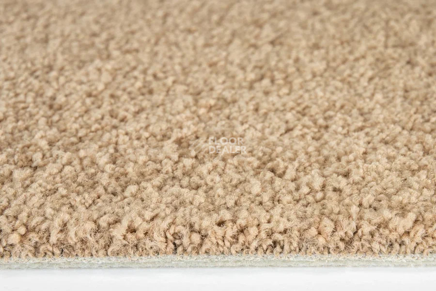 Vorwerk Superior 1065/Viola Vorwerk 7g75 фото 3 | FLOORDEALER